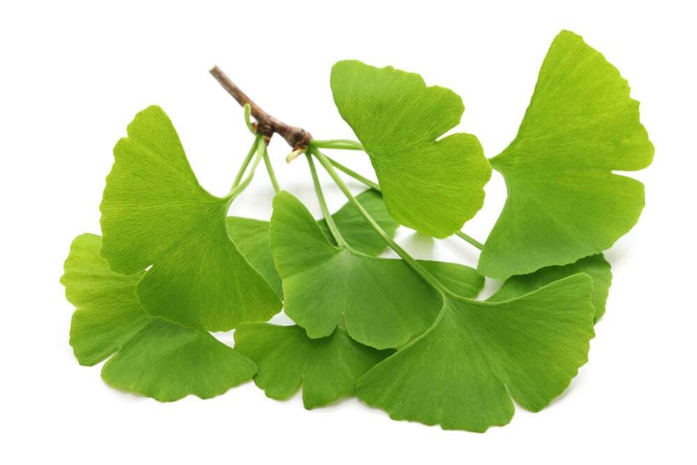 Ginkgo biloba in Kapseln Glucoren